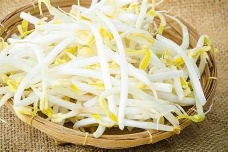 绿豆芽能不能放点肥料