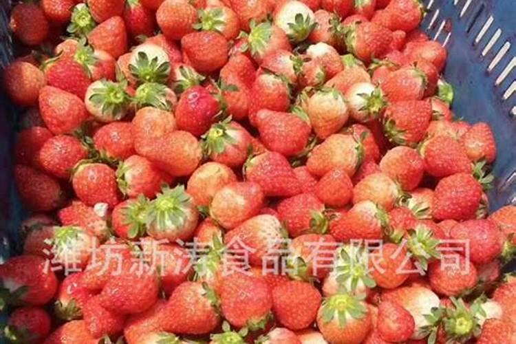 草莓适合用什么肥料？