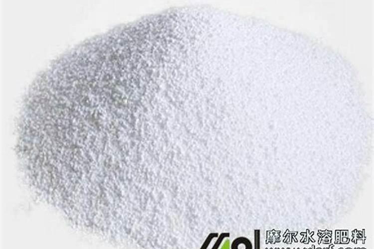 现在玉米冲施肥用什么肥料最好