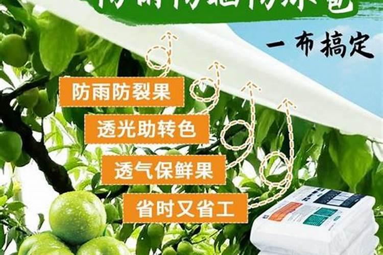 国家为什么推广水溶肥 水溶肥的优点及正确的使用方式