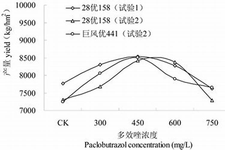 油菜多效唑使用方法