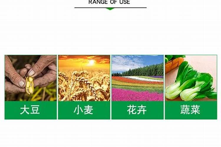 农业种植中不可或缺的部分——硫酸铵