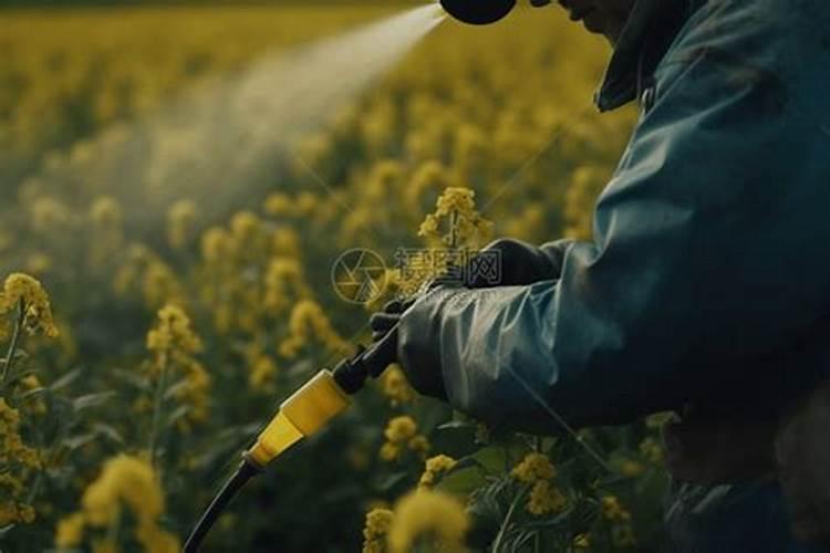 施肥后可以打除草剂吗