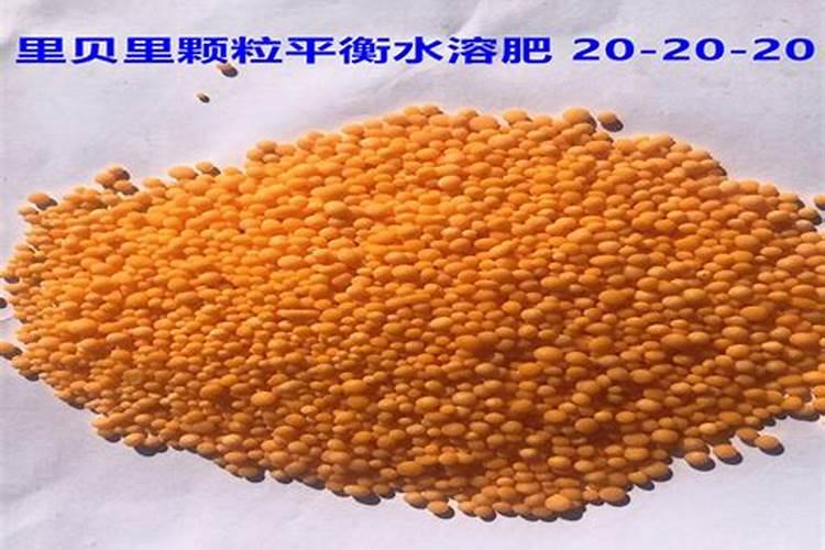 什么是氮肥什么是磷钾肥