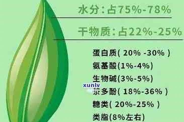 速生杨怎样施肥 怎样给速生杨施肥比较好呢