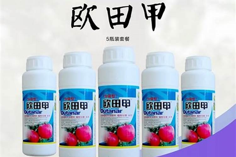 洋葱能使用波尔多液杀菌吗