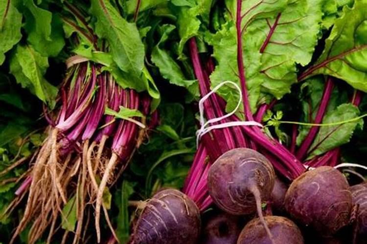 罗布泊复合肥价格