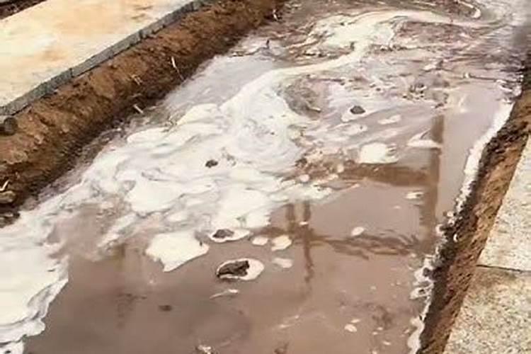 油菜花期管理与施肥