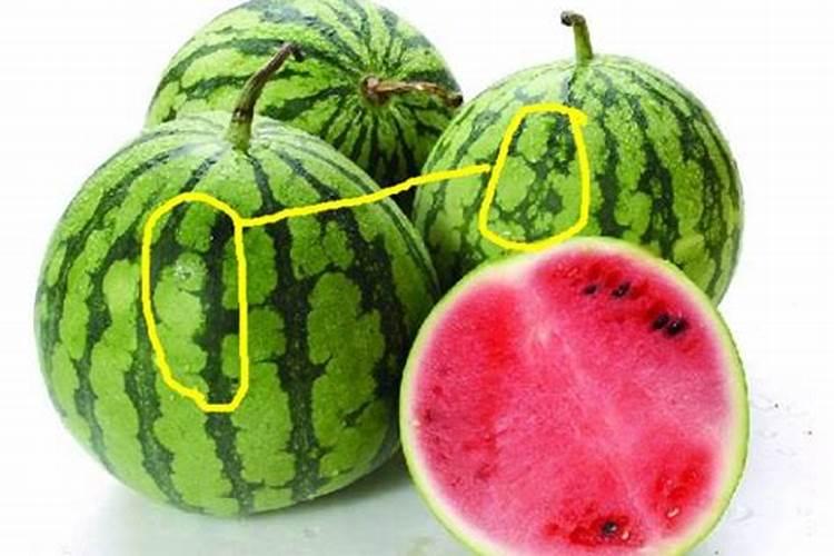 种植西瓜用什么肥料最佳