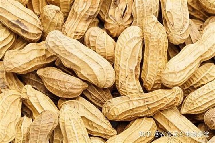 花生后期喷什么叶面肥最好