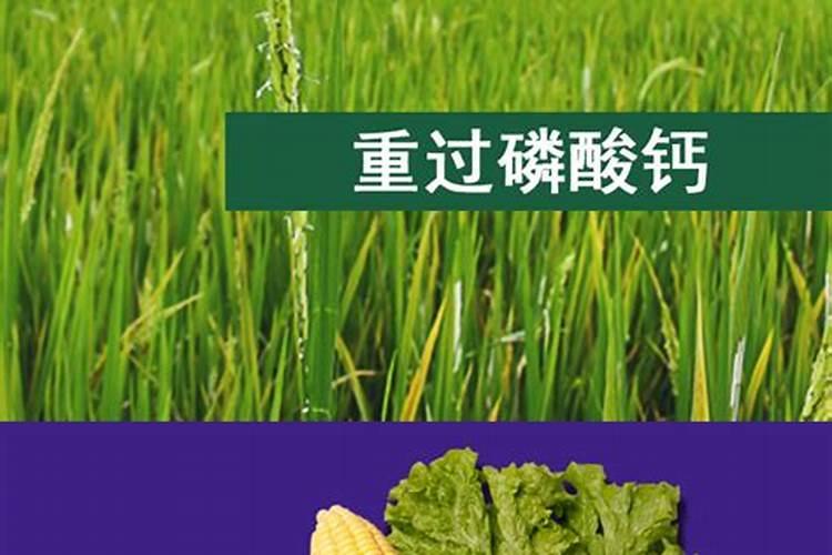 速乐硼和流体硼有什么区别