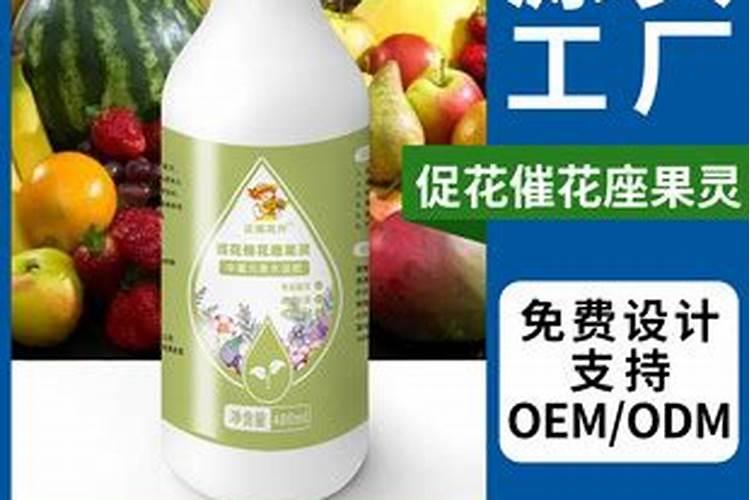果树全年都使用水溶肥可以吗