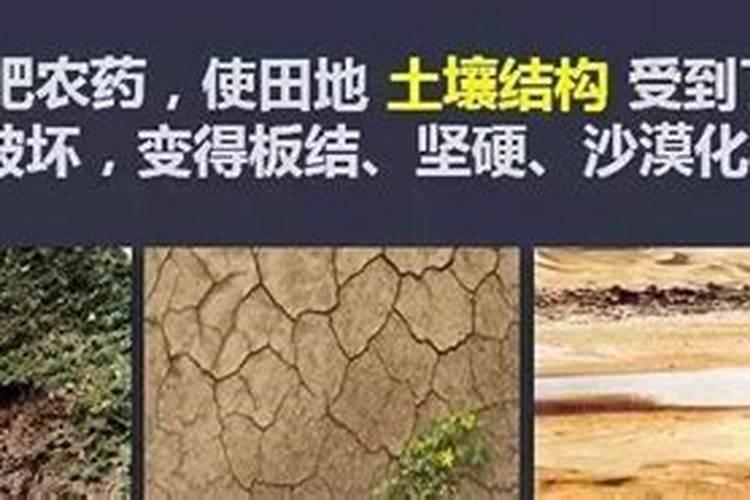 氮肥的缺乏和过量对草莓有什么危害