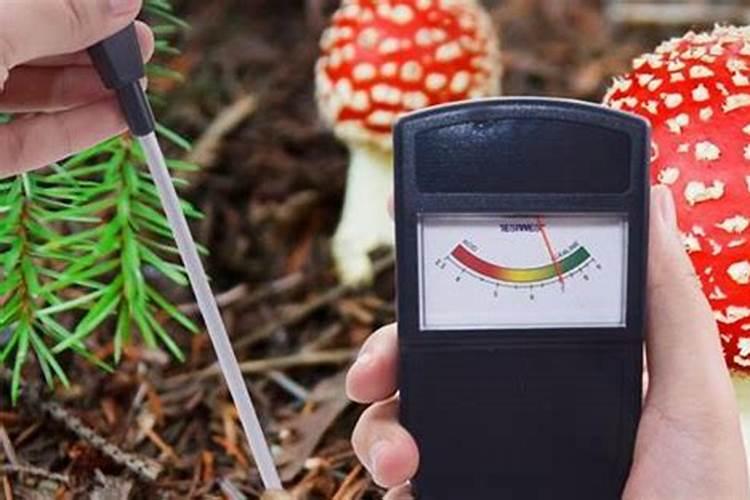 叶面肥是酸性还是碱性