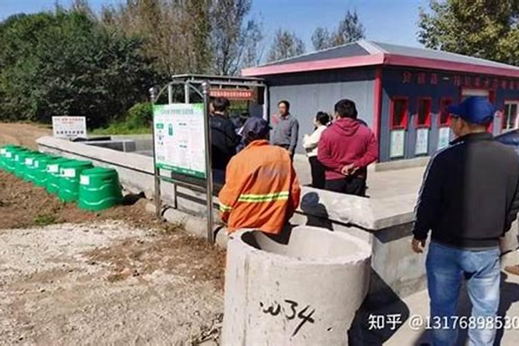 红豆杉怎么浇水