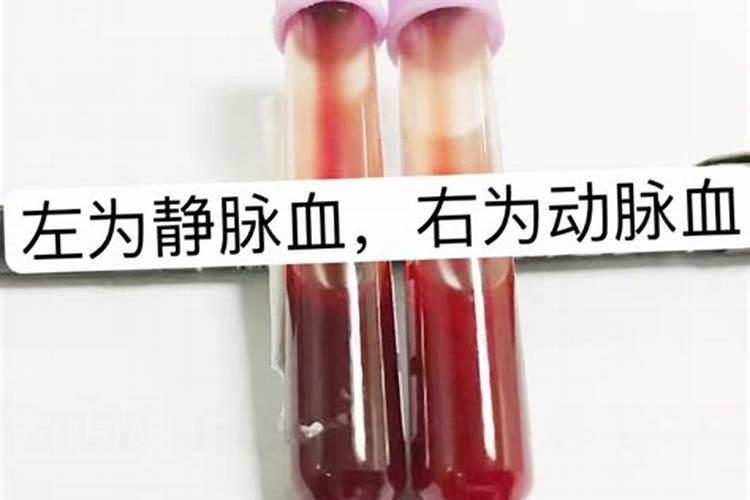 鱼白是什么部位