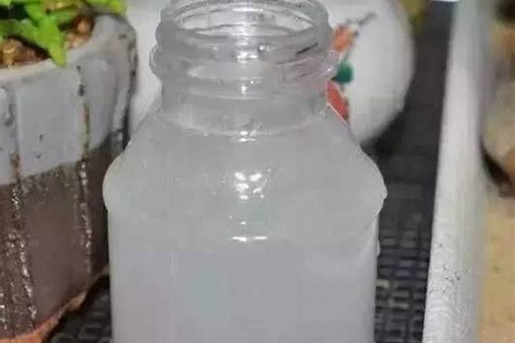 生根粉可以浇多肉吗