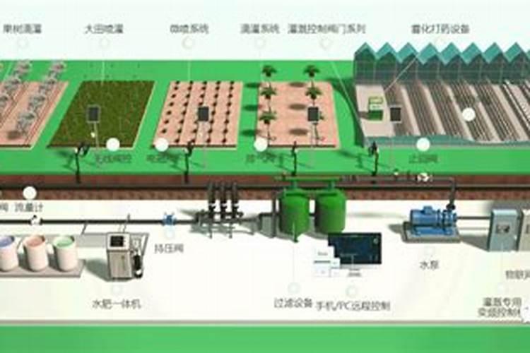 水溶肥怎么施用效果更好