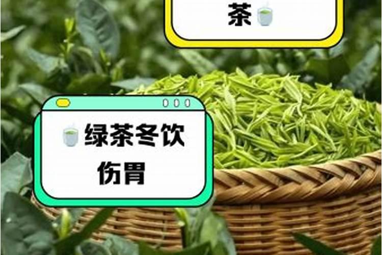 绿茶花盆栽怎么种 绿茶花盆栽种植方法