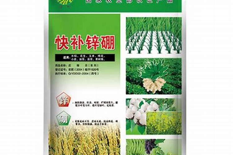 柑橘补锌方法 可以采取什么办法呢