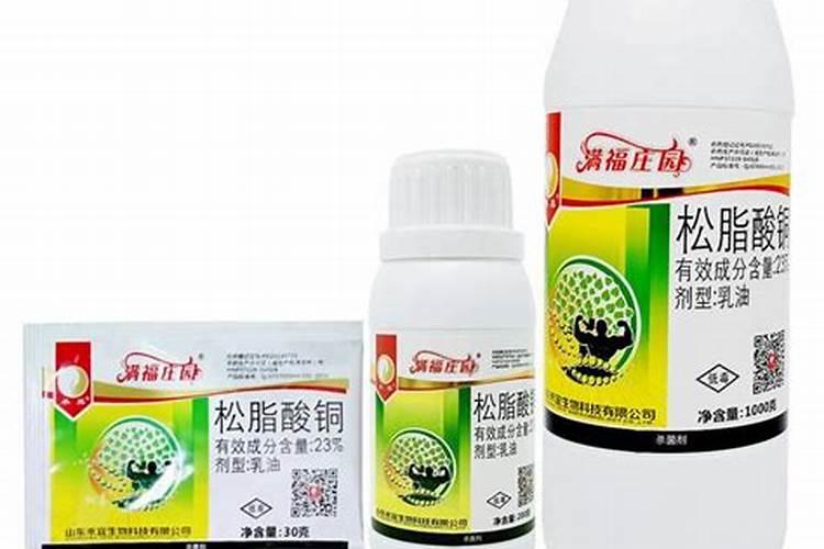 大豆根腐病发生的原因有什么 如何防治