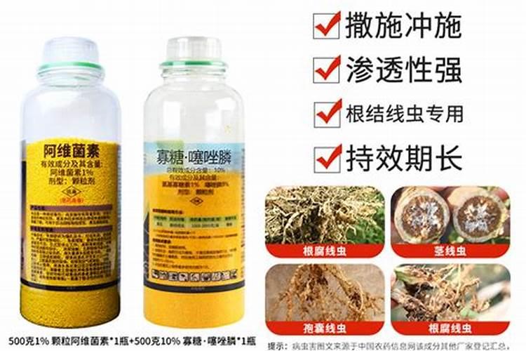 白菜根腐病用什么药