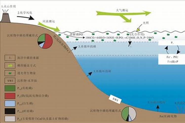 鱼塘肥水用磷肥和二氢钾可不可以