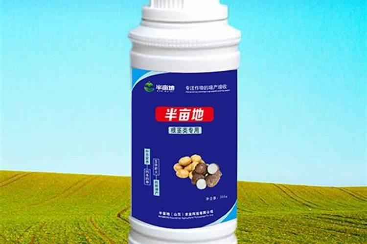 中药材党参壮根灵厂家批发,中药材党参肥哪个品牌好？