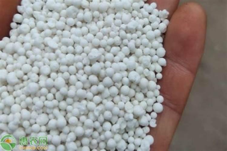 茉莉花多久施一次硫酸亚铁才能有效的保持酸性？