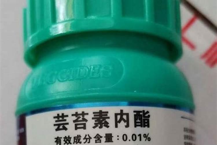 苦瓜打什么农药结瓜多