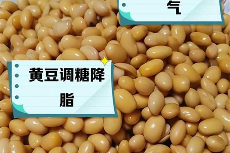 熟黄豆能直接埋入花盆吗 好不好