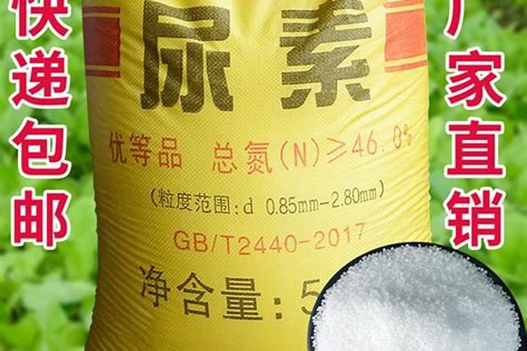 哪些速效肥