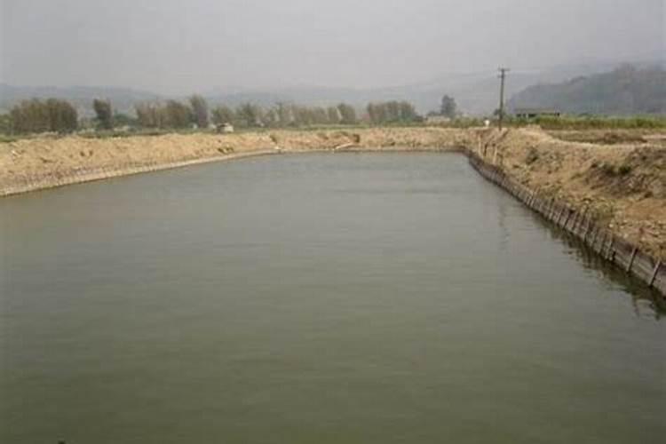 早春的农田应该如何施肥？需要注意什么？