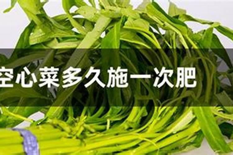 空心菜多久施肥一次合适