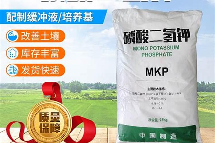 促进植物根发肓最好需要什么肥