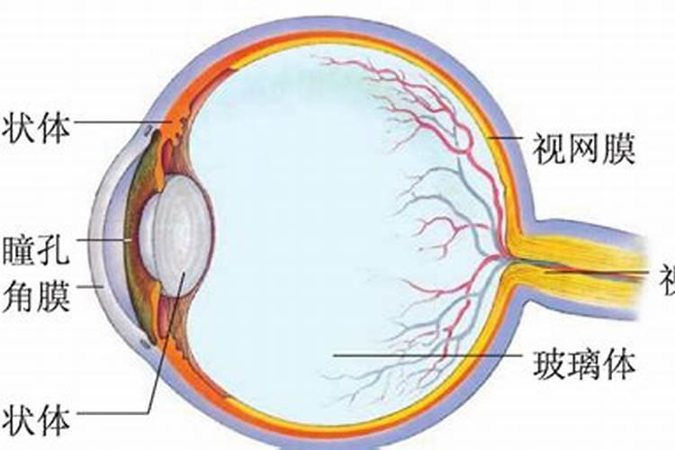 花生追肥用复合肥还是尿素 用什么肥料最好