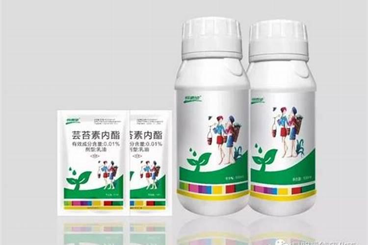 玉米几叶能用芸苔素