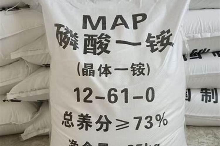 龙眼树有哪些品种 龙眼树如何栽培