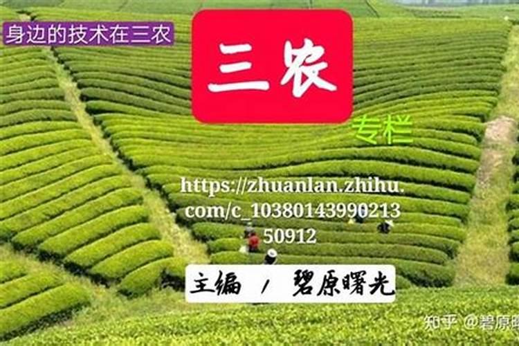 绿肥是什么肥料