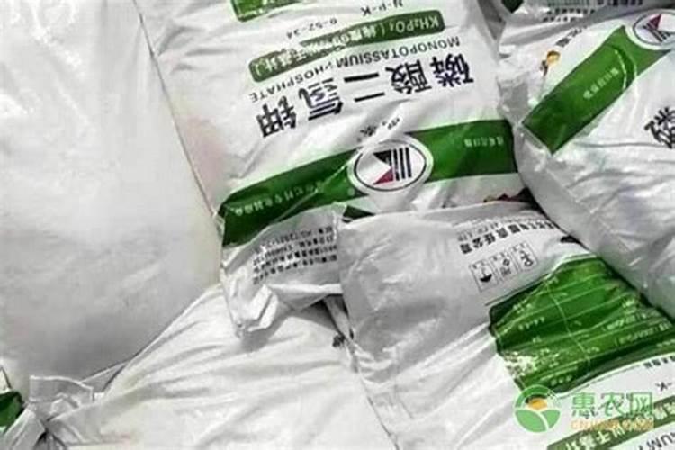 哪7种肥料经常会买到假货,怎样避免踩坑？