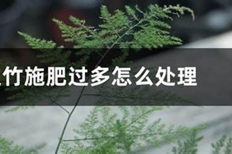 文竹需要什么肥料 家里的文竹养了10来年了