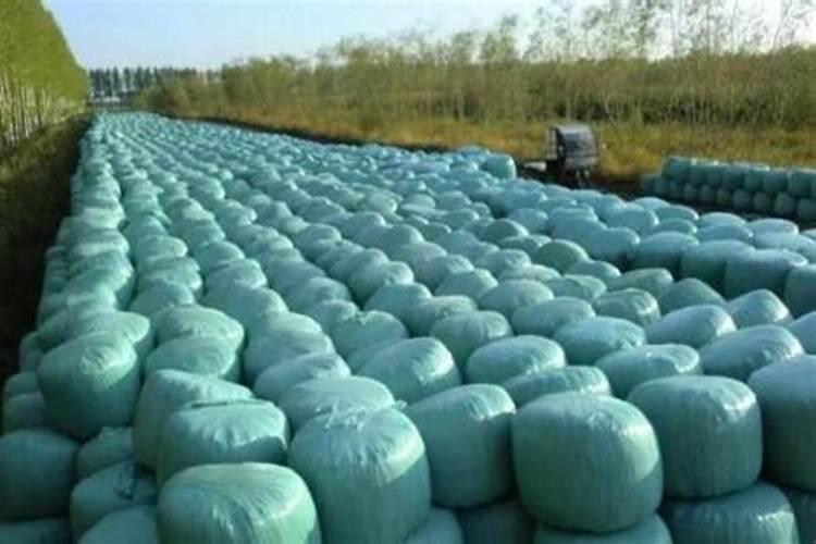 复合肥是直接撒还是溶水,附使用方法