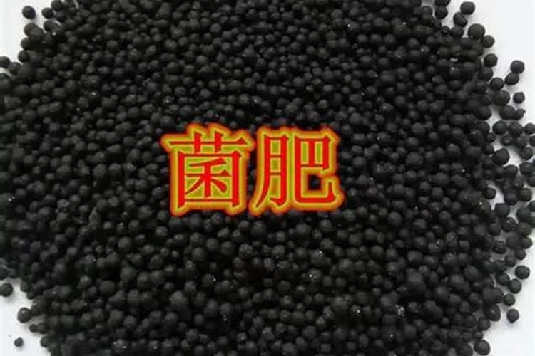 控释肥与普通肥料相比,有哪些优缺点？