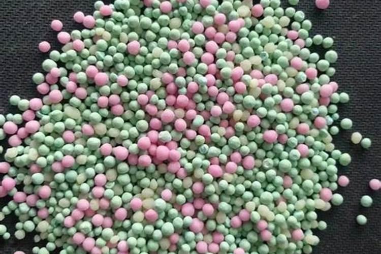 氮肥和磷钾肥能一起用吗 氮肥可以促进植物什么生长