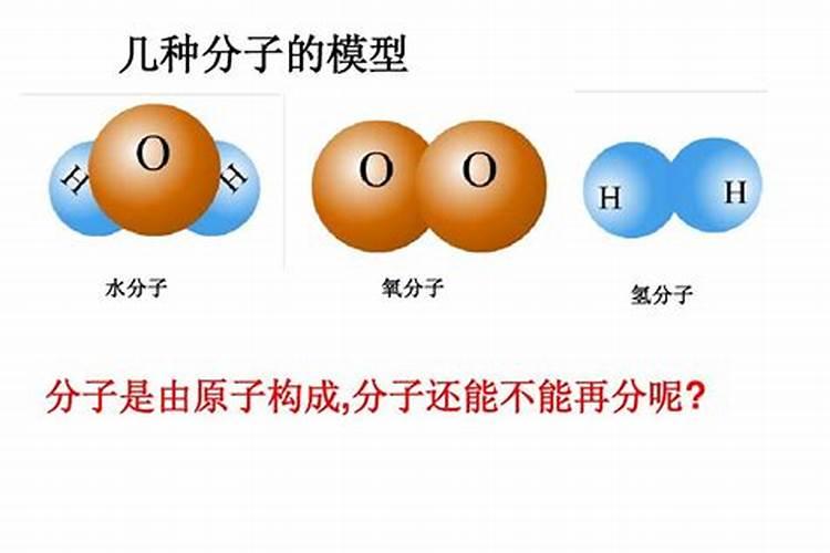 生物中施肥的作用