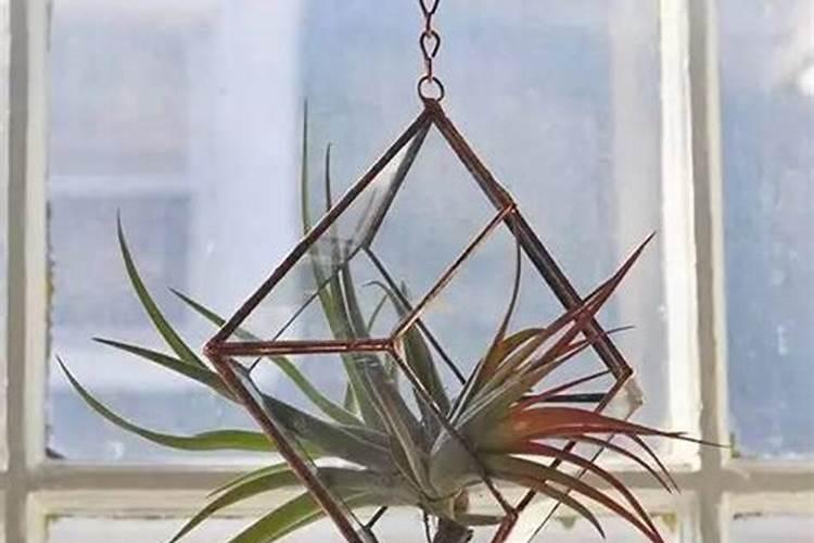 果树不用氮磷钾大量元素化学肥料,产出的果实好不好吃？