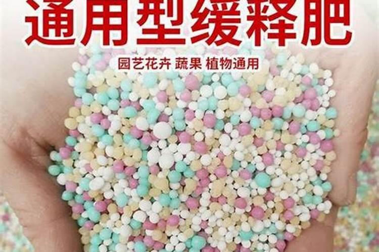 刚栽的小树苗可以施磷肥吗？