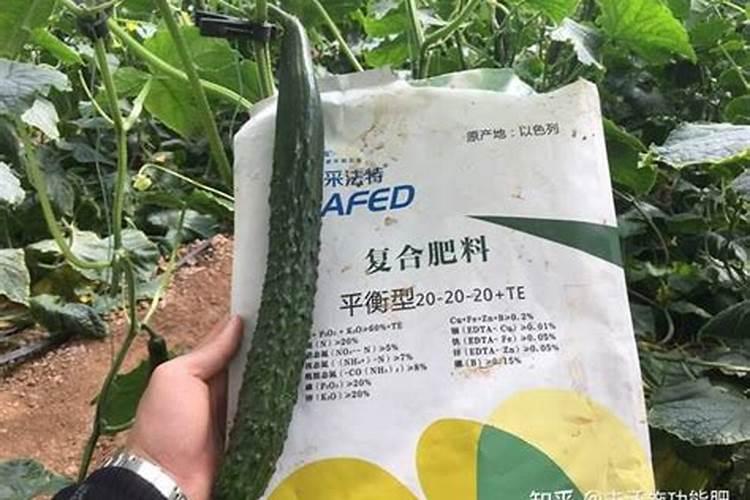 枇杷树施什么肥料？水溶肥怎么用