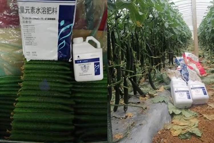 化肥和水溶肥的区别？