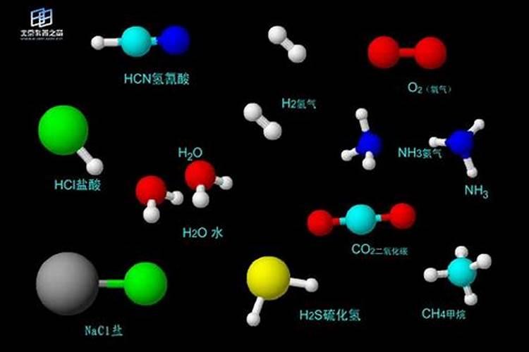月季如何施底肥